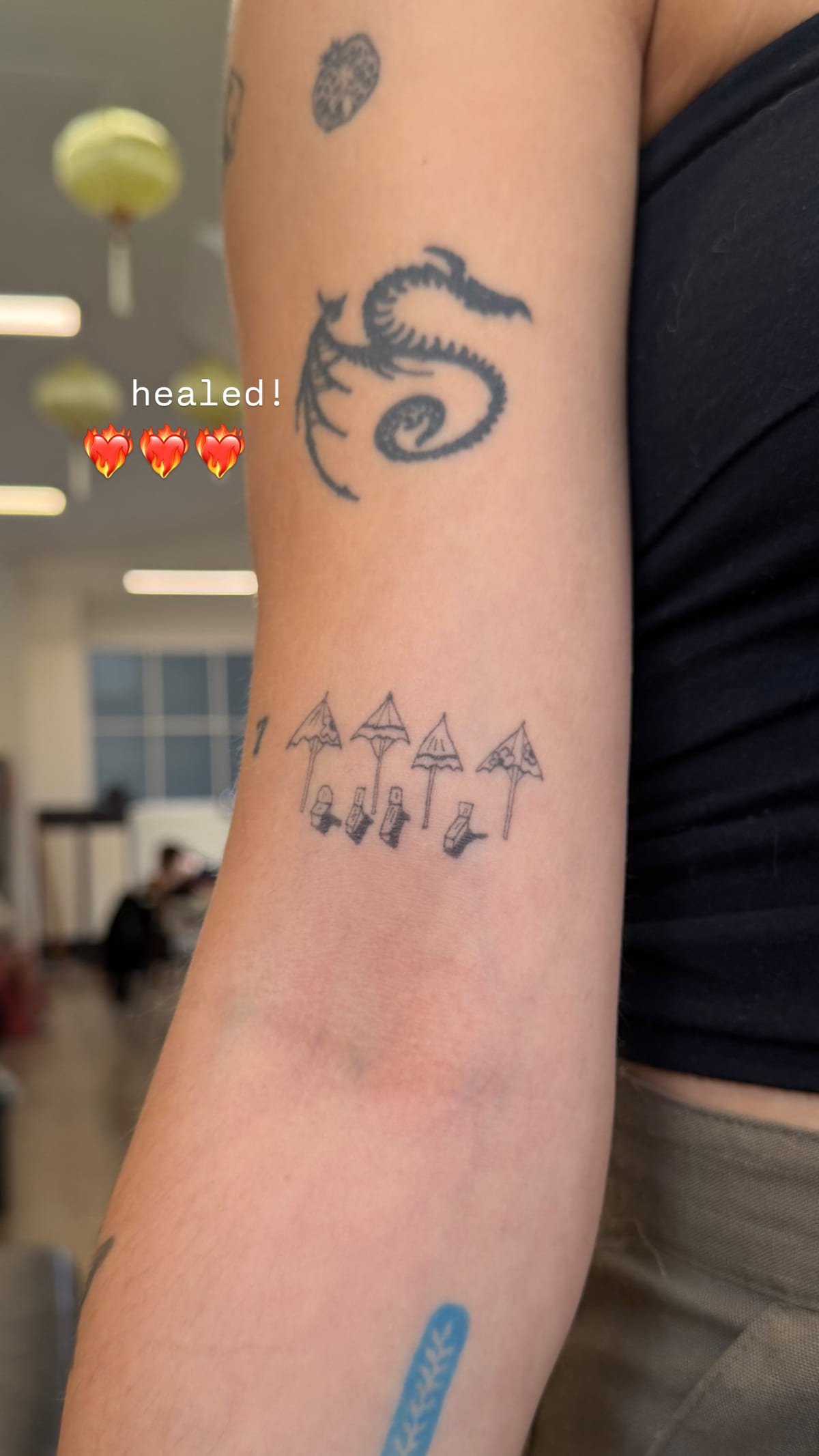 Row of small mushrooms, healed fine line tattoo