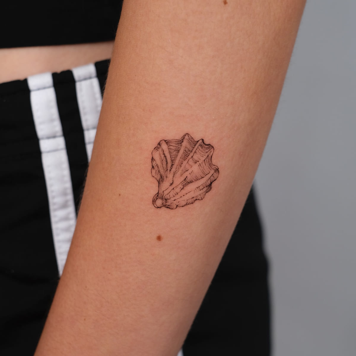 Cluster of shells, stippled, fine line tattoo