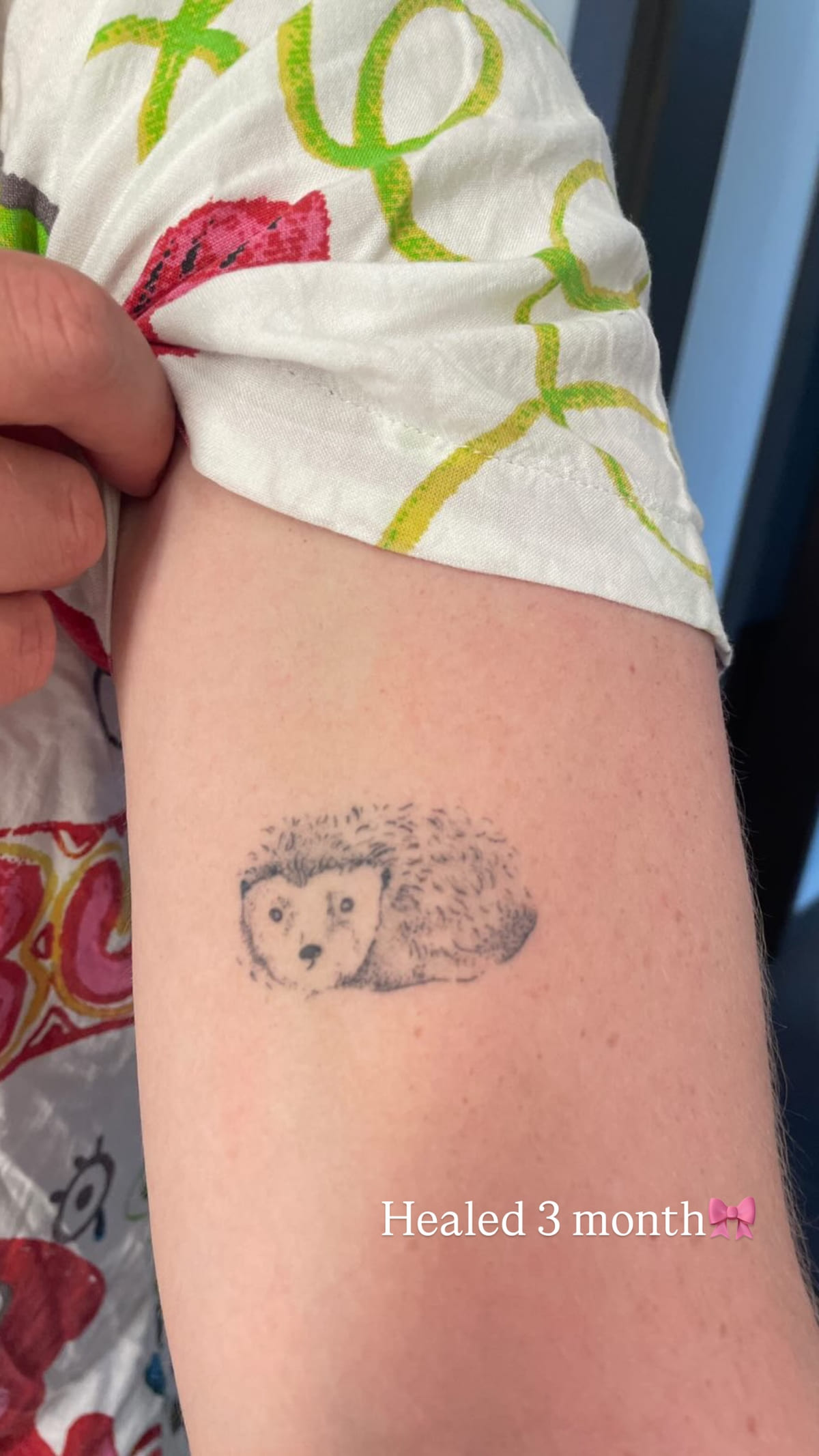 Small hedgehog on an upper arm, healed fine line tattoo, healed