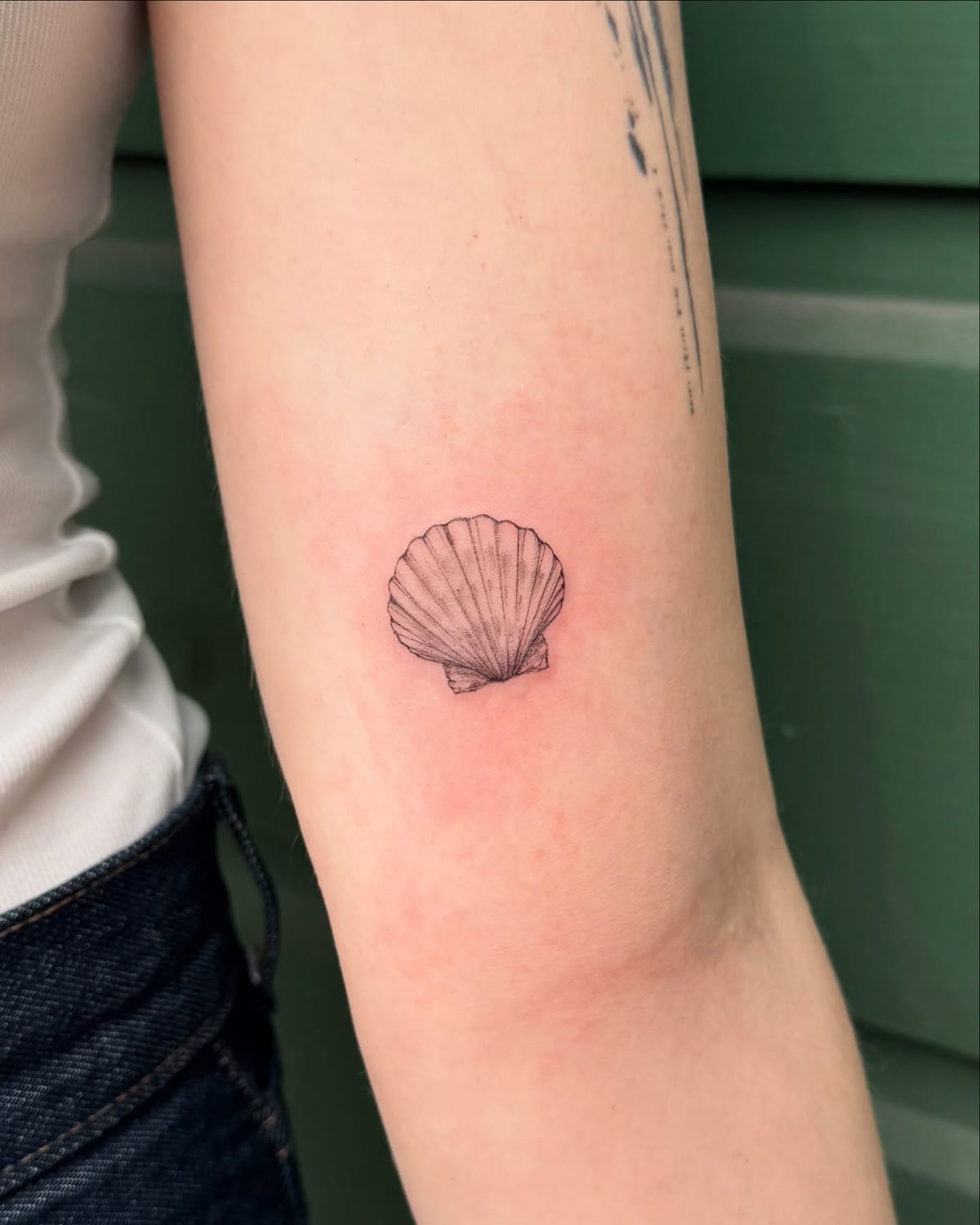 Scallop shell, fine line tattoo
