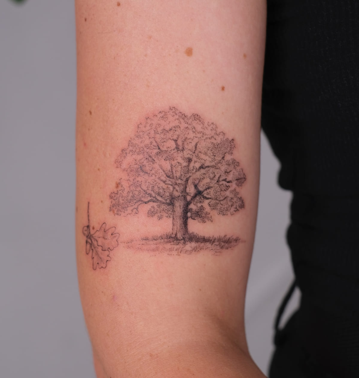 Oak tree with an oak leaf beside it, micro realism, another view