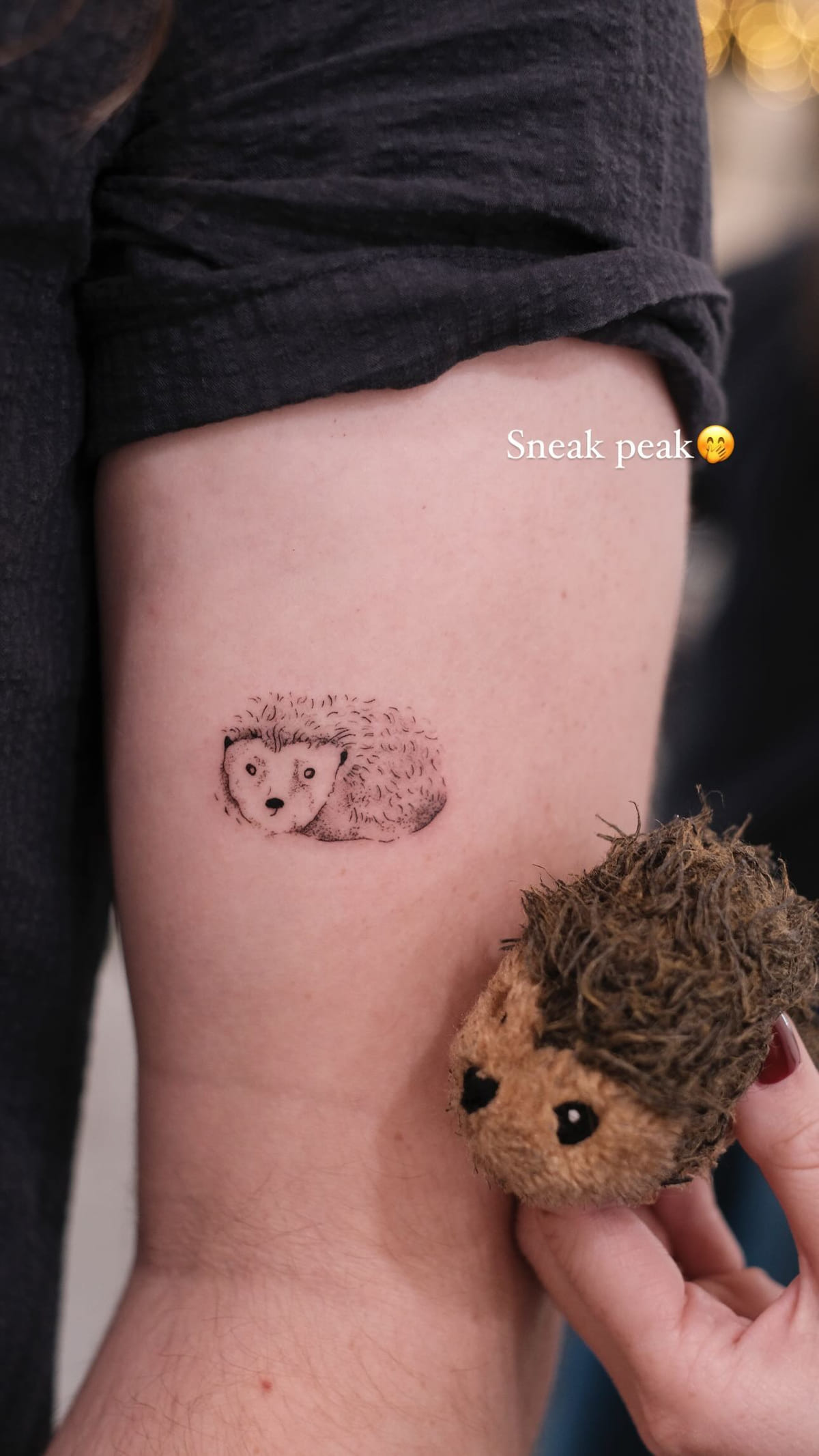 Small hedgehog on an upper arm, healed fine line tattoo, the day it was made
