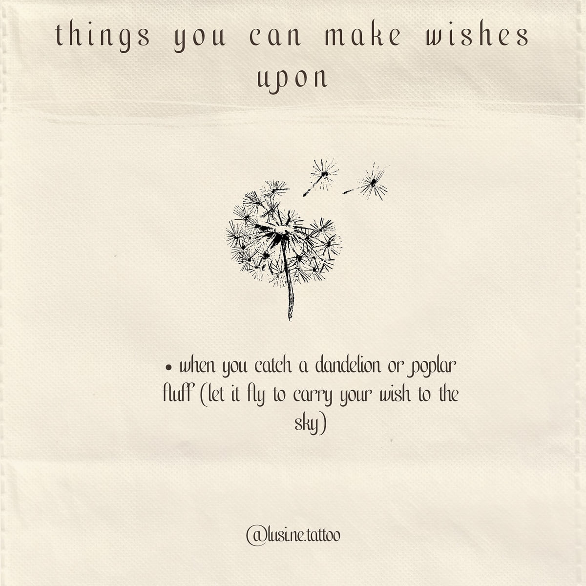 Dandelion: when you catch a dandelion or poplar fluff, let it fly to carry your wish to the sky