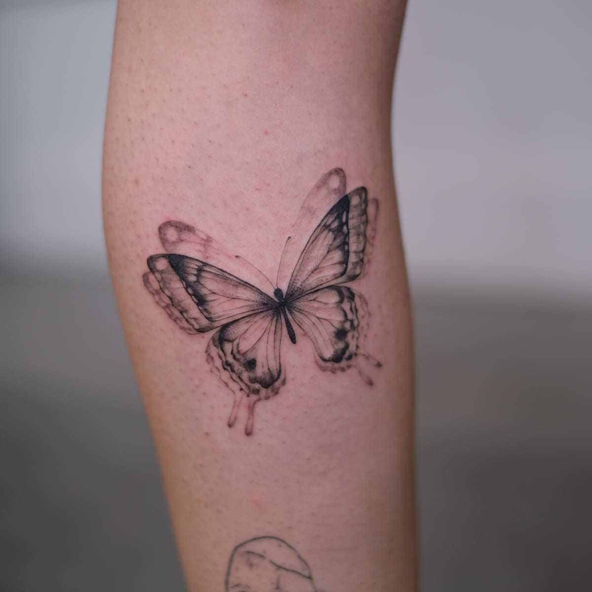 Shaded butterfly with dripping wing tips, fine line tattoo
