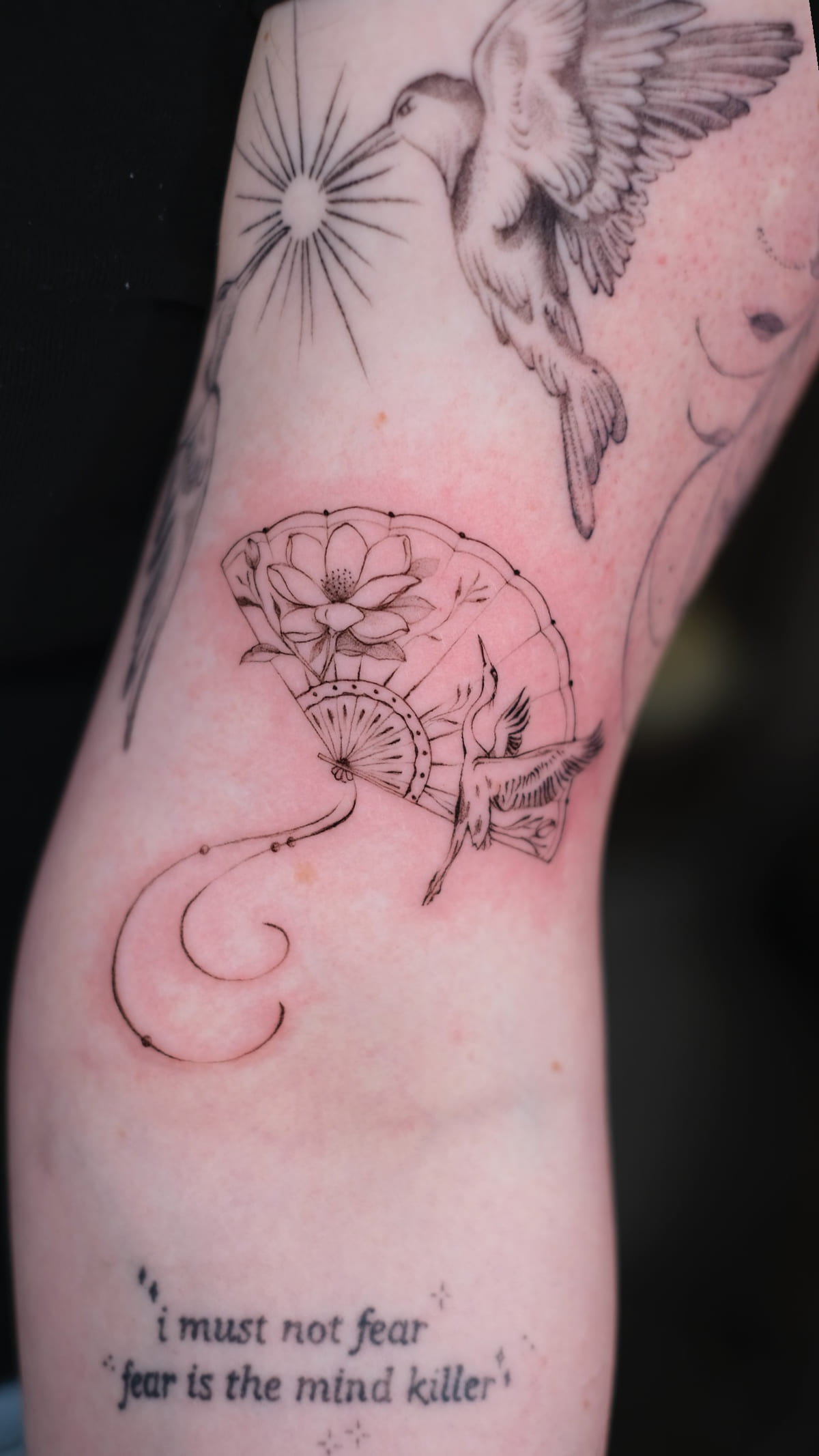 Bird, fan with a lotus, and a quote on a forearm, healed fine line tattoo, the day it was made