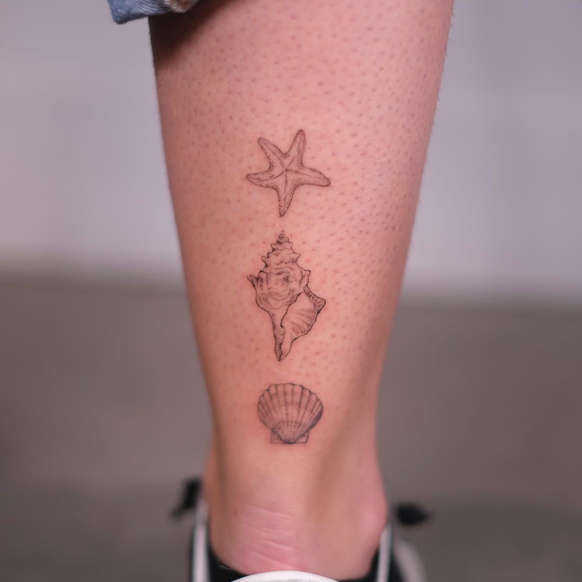 Starfish, conch and scallop in a column, fine line tattoo