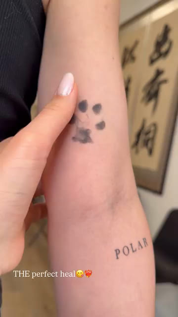 Tiny paw print and the word POLAR, healed fine line tattoo, healed