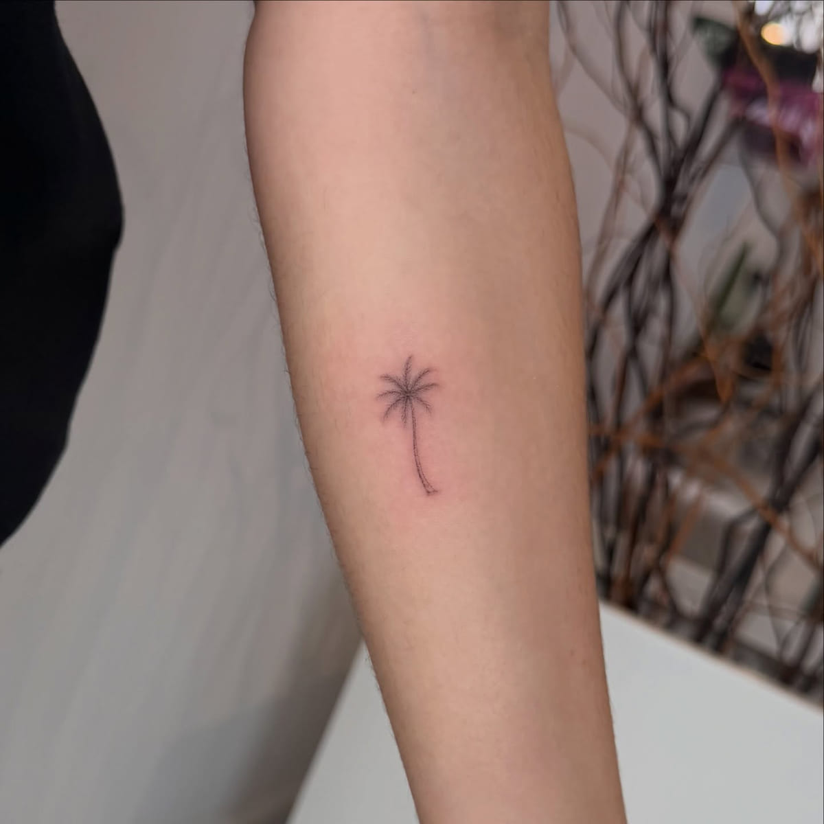 Tiny palm tree, fine line tattoo