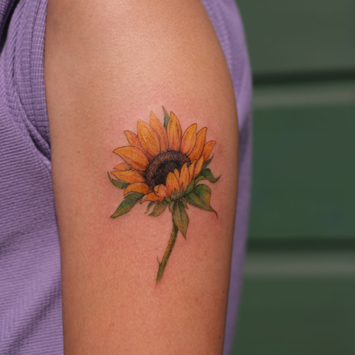 Sunflower in full color, another view