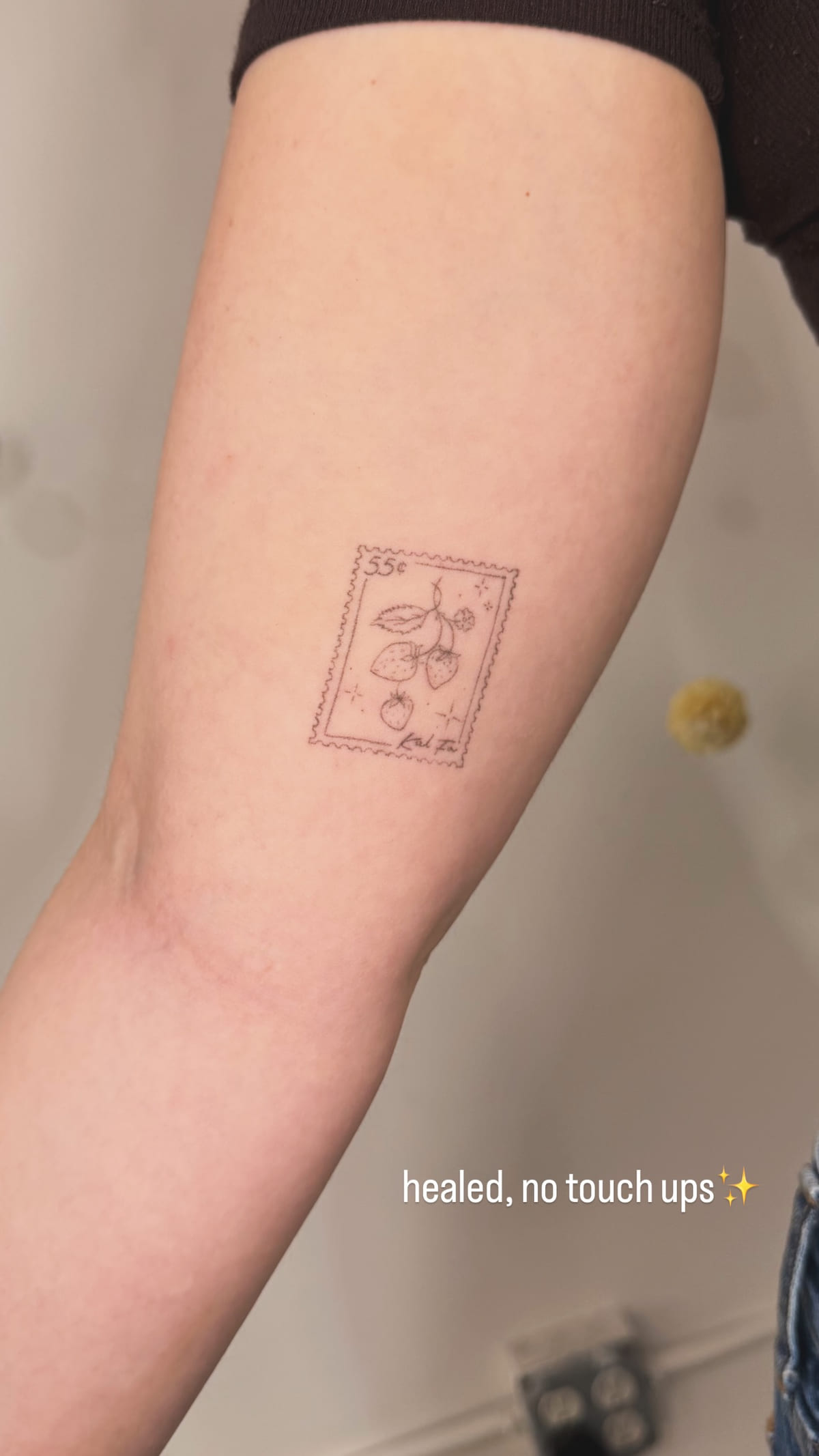 Postage stamp with a bird, healed fine line tattoo