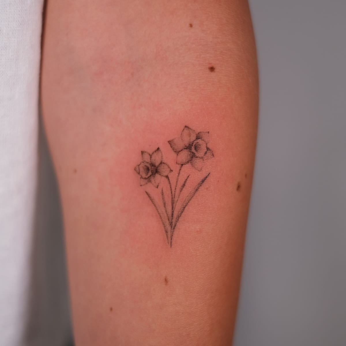 Two small daffodils, fine line tattoo